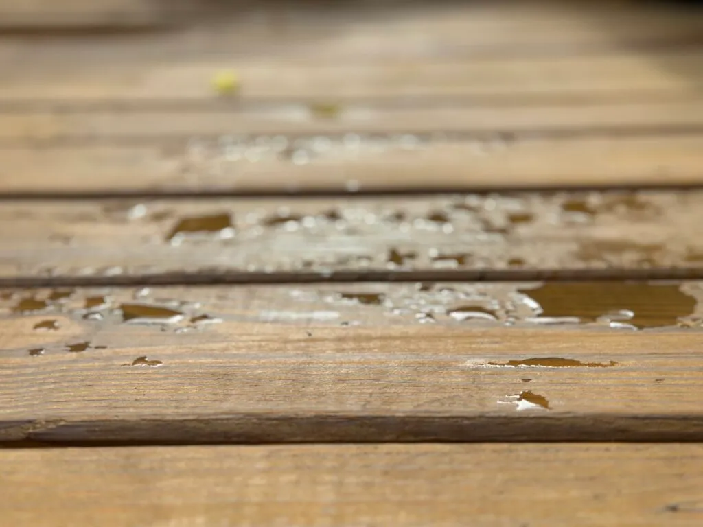 Wet wooden deck