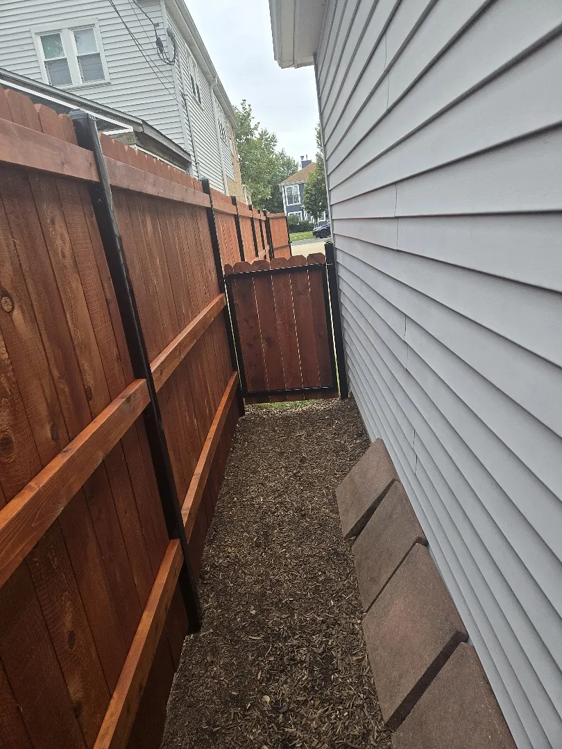 Side yard cedar fence and gate after washing and sealing with a semi-transparent oil stain